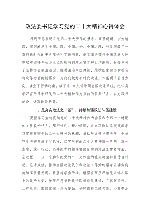 政法委书记学习党的二十大精神心得体会.docx