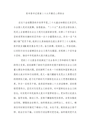 某市委书记观看二十大开幕式心得体会.docx