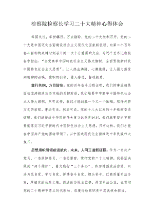 检察院检察长学习二十大精神心得体会.docx
