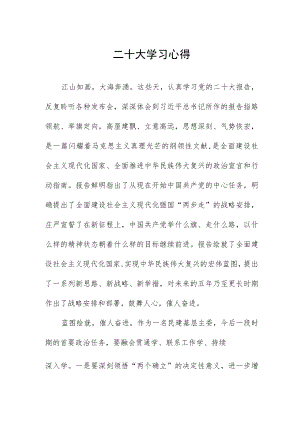 二十大学习心得.docx