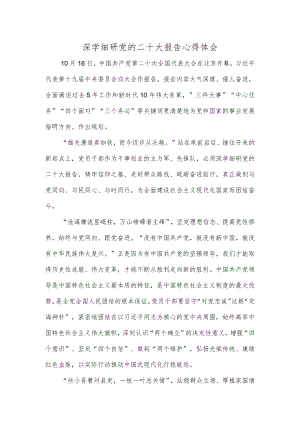 深学细研党的二十大报告心得体会.docx