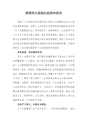 学习二十大心得体会——感悟伟大成就++扛起使命担当.docx