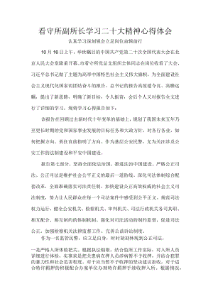 看守所副所长学习二十大精神心得体会.docx