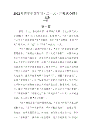 2022年青年干部学习“二十大”开幕式心得十二篇.docx