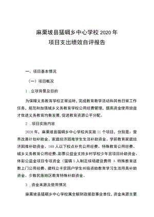 麻栗坡县猛硐乡中心学校2020年项目支出绩效自评报告.docx