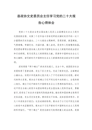 县政协文史委员会主任学习党的二十大报告心得体会（20221105）.docx
