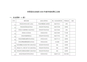 米易县社会组织2020年度年检结果汇总表.docx