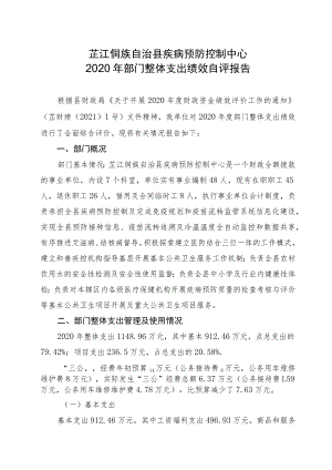 芷江侗族自治县疾病预防控制中心2020年部门整体支出绩效自评报告.docx