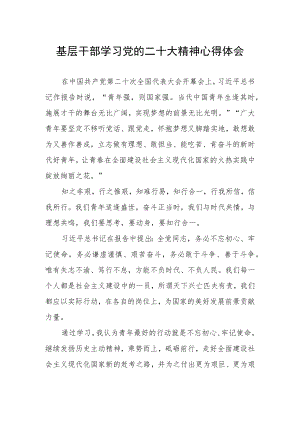 基层干部学习党的二十大精神心得体会.docx