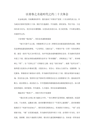 以青春之名赴时代之约二十大体会.docx