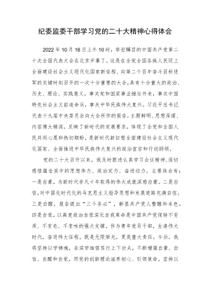 纪委监委干部学习党的二十次大会精神心得体会.docx