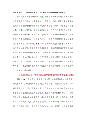 青年教师学习二十大心得体会：不忘初心践使命砥砺奋进向未来.docx