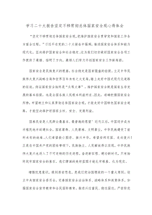 学习二十大报告坚定不移贯彻总体国家安全观心得体会.docx