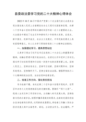 县委政法委学习党的二十大精神心得体会.docx