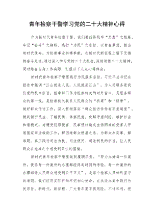 青年检察干警学习党的二十大精神心得.docx