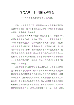 乌审旗委政法委综合办公室副主任学习二十大精神心得体会（20221219）.docx