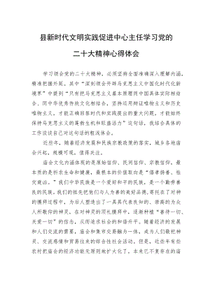 县新时代文明实践促进中心主任学习党的二十大精神心得体会（20221113）.docx