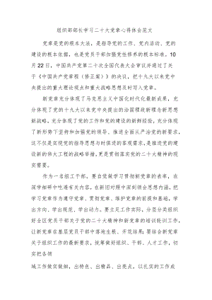 组织部部长学习二十大党章心得体会范文.docx