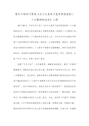 青年干部学习贯彻《关于认真学习宣传贯彻党的二十大精神的决定》心得.docx