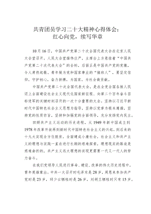共青团员学习二十大精神心得体会：红心向党续写华章.docx