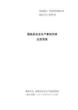 预案TYSCSGYA2018预案版本号2018-01通榆县安全生产事故灾难应急预案.docx