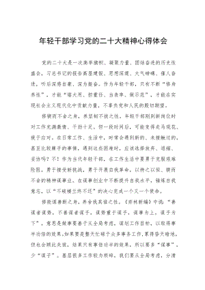 年轻干部学习党的二十大精神心得体会.docx