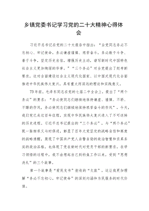 乡镇党委书记学习党的二十大精神心得体会.docx