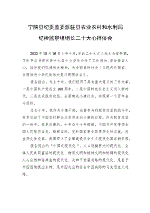 宁陕县纪委监委派驻县农业农村和水利局纪检监察组组长二十大心得体会（20221018）.docx