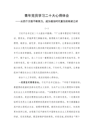 （4篇）青年党员学习贯彻党的二十大精神研讨交流心得体会.docx