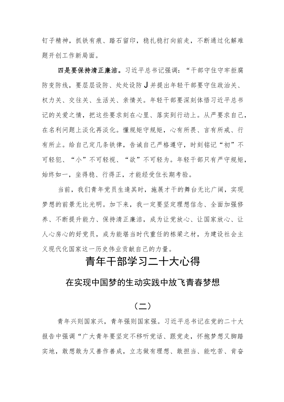（4篇）青年党员学习贯彻党的二十大精神研讨交流心得体会.docx_第3页