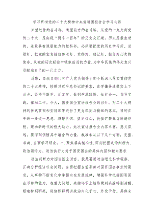 学习贯彻党的二十大精神中央宣讲团报告会学习心得.docx