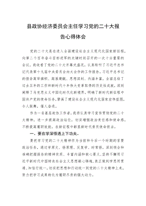 县政协经济委员会主任学习党的二十大报告心得体会（20221101）.docx