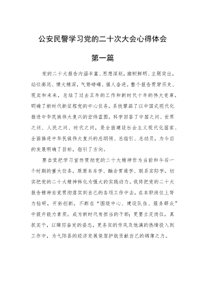 公安民警学习党的二十次大会心得体会五篇.docx