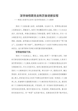 神泉乡党委书记谈学习宣传贯彻党的二十大精神（20221205）.docx