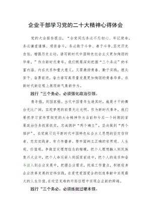 企业干部学习党的二十大精神心得体会（三）.docx