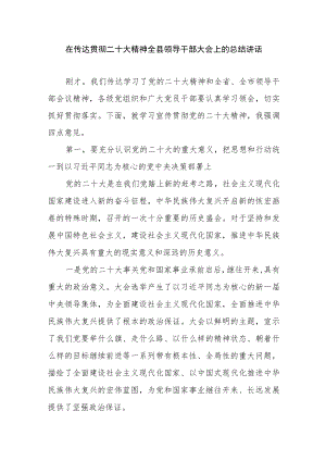 在传达贯彻二十大精神全县领导干部大会上的总结讲话.docx