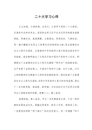 二十大学习心得.docx