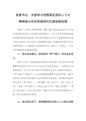 县委书记：全面学习把握落实党的二十大精神+奋力开启芮城现代化建设新征程（1121）.docx