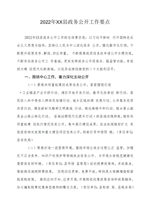 2022年XX县政务公开工作要点.docx