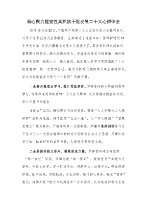 凝心聚力提党性 真抓实干促发展二十大心得体会.docx
