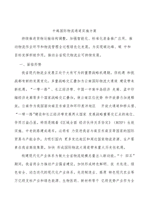 中越国际物流通道实施方案.docx