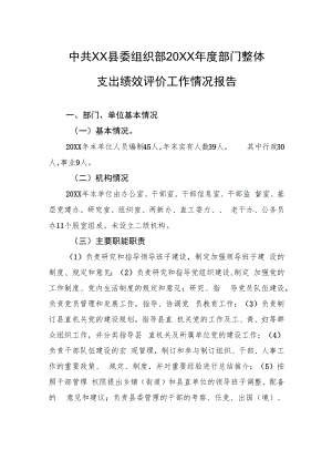 中共XX县委组织部20XX年度部门整体+支出绩效评价工作情况报告（20220406）.docx