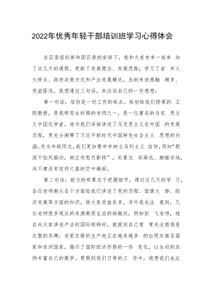 2022年优秀年轻干部培训班学习心得体会.docx