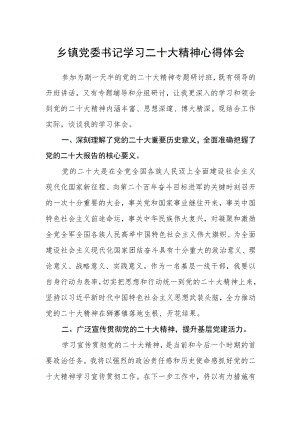 乡镇党委书记学习二十大精神心得体会.docx