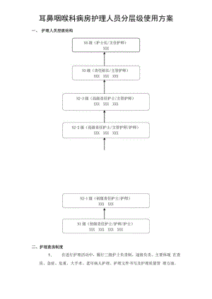 2022《耳鼻喉科护士分层级使用方案》.docx