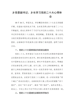 乡党委副书记、乡长学习党的二十大心得体会.docx