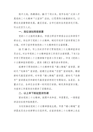 以思想伟力致敬新时代——XX市党的二十大精神“大宣讲”综述（1219）.docx