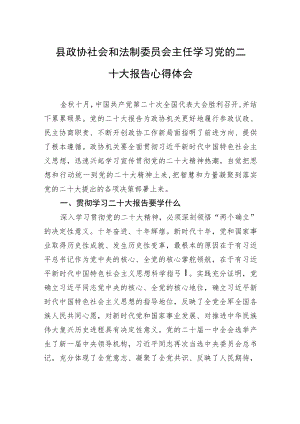 县政协社会和法制委员会主任学习党的二十大报告心得体会（1103）.docx