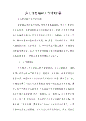 乡工作总结和工作计划8篇.docx