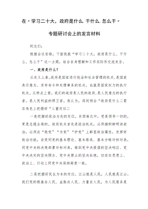 在“学习二十大政府是什么、干什么、怎么干”专题研讨会上的发言材料.docx